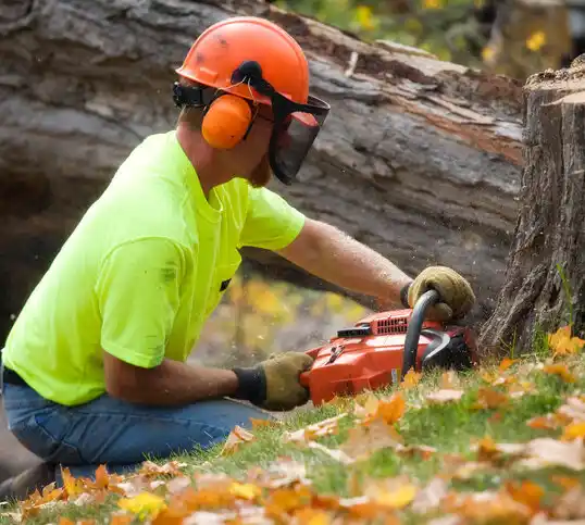 tree services Edwards